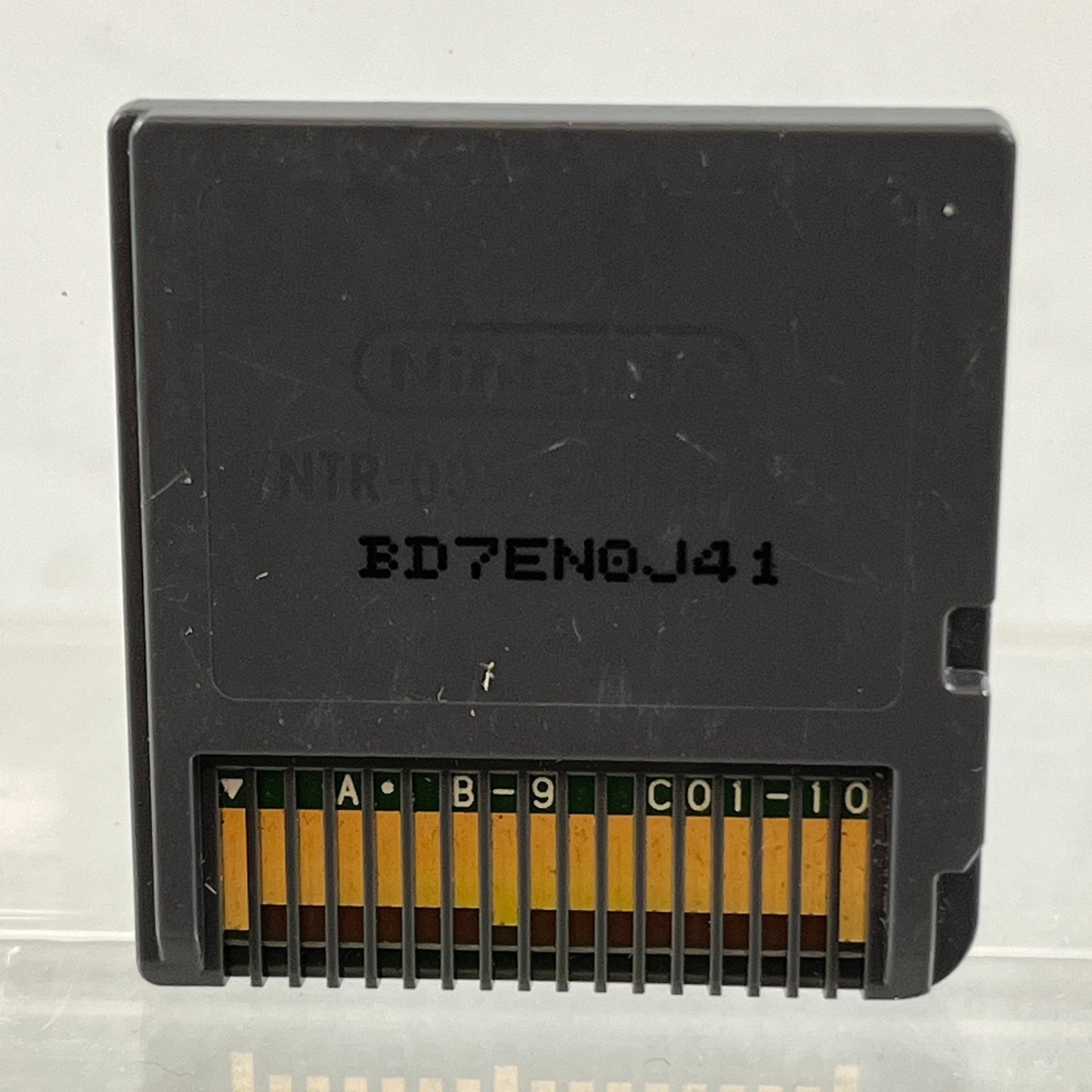 Digging For Dinosaurs (Nintendo DS, 2010)