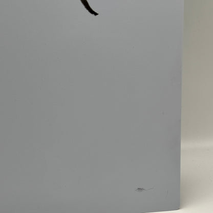 Sony PlayStation 5 Digital Edition PS5 825GB Console Gaming System CFI-1215B