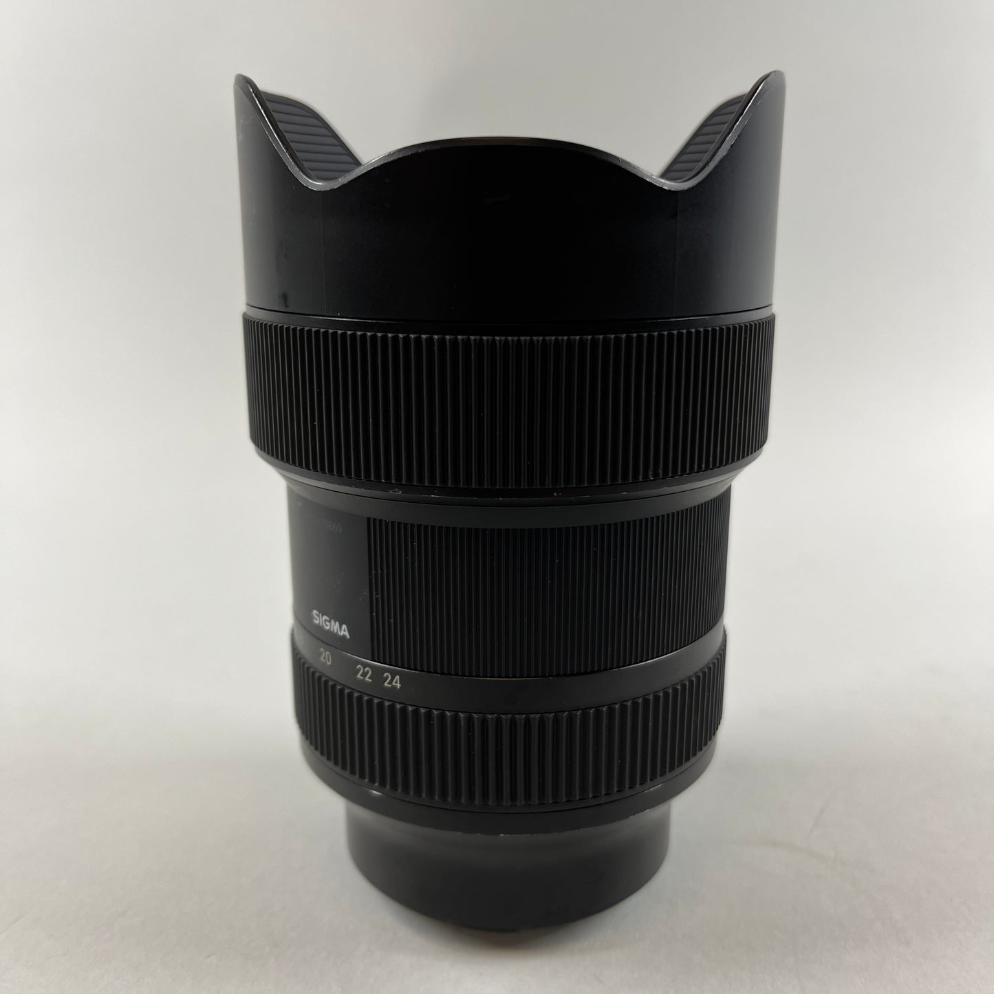 Sigma DG DN 14-24mm f/2.8  For Sony E-Mount